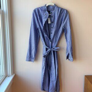 NWT: Ann Taylor Blue & White Striped Shirtdress (L)